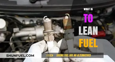 Exploring Lean Fuel: Benefits, Types, and Efficient Usage