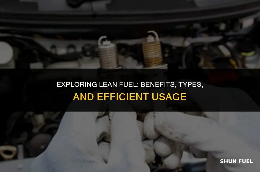 what is to lean fuel