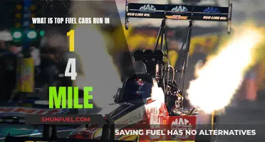 Top Fuel Cars: Quarter-Mile Speedsters