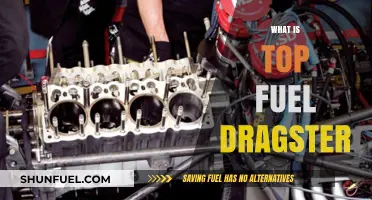 Unleashing the Beast: The Thrilling World of Top Fuel Dragsters