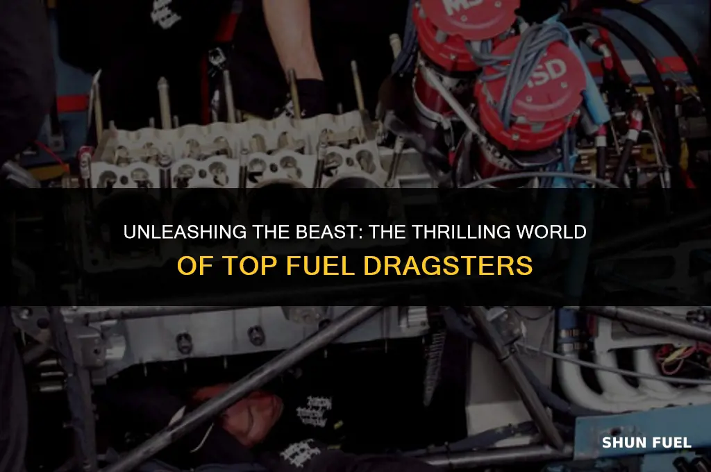 what is top fuel dragster