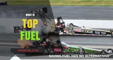 Exploring Top Fuel: The Ultimate Drag Racing Powerhouse Explained