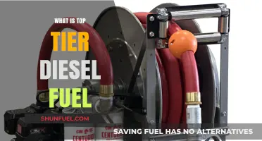 Diesel's Top-Tier: What's the Difference?