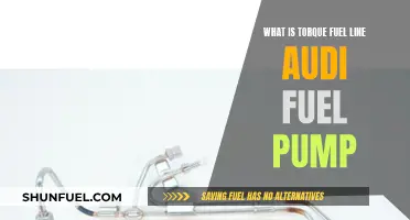 Torque Fuel Line and Audi Fuel Pump: What's the Link?