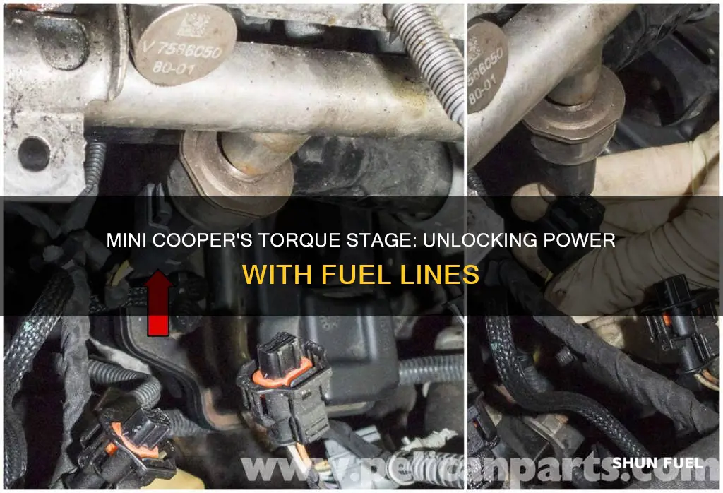 what is torque stage mini cooper fuel lines