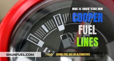 Understanding Mini Cooper Fuel Lines and Torque Stage