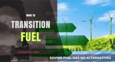 Exploring Transition Fuels: A Pathway to Sustainable Energy