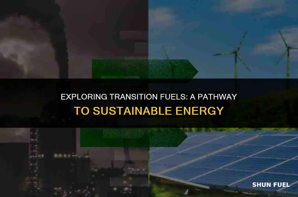 what is transition fuel