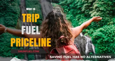 Exploring Trip Fuel Priceline: Your Ultimate Guide to Savings
