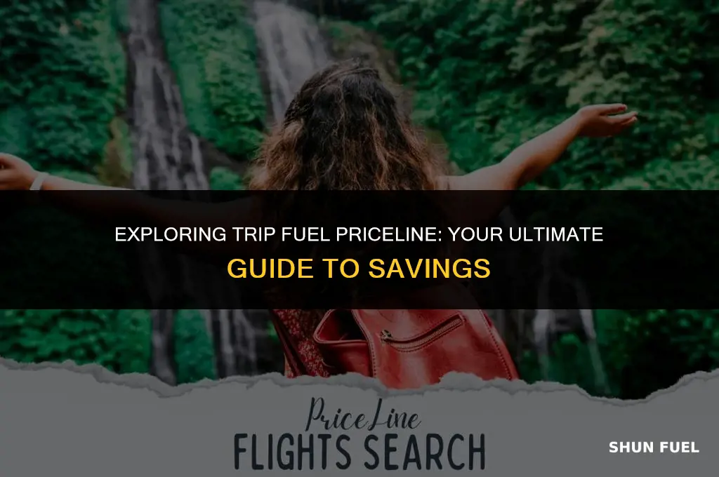 what is trip fuel priceline