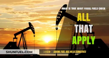 Fossil Fuels: Debunking Myths and Uncovering Key Facts