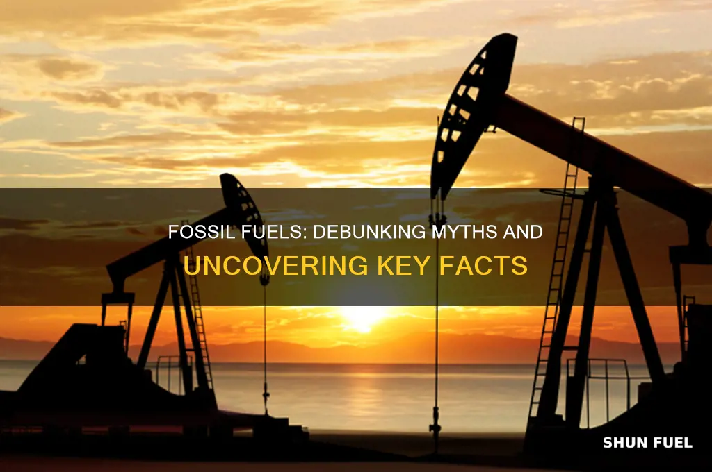 what is true about fossil fuels check all that apply