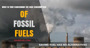Fossil Fuel Overuse: Environmental Impacts, Sustainability Challenges, and Urgent Solutions