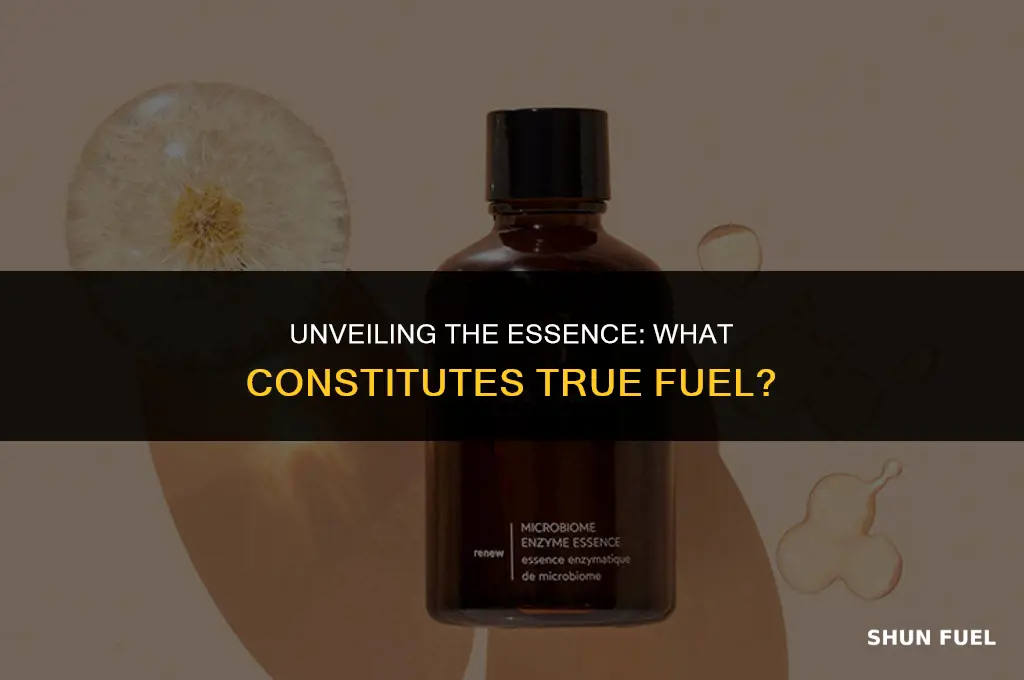what is true fuel