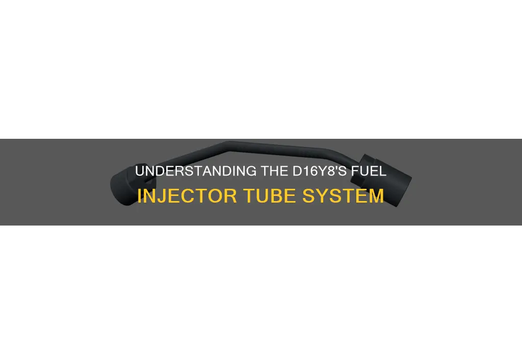 what is tube under fuel injectors d16y8