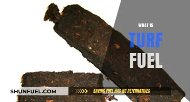 Exploring Turf Fuel: A Sustainable Alternative for Landscaping