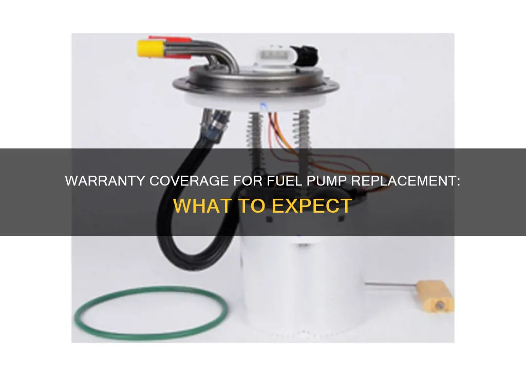 what is typical warranty on fuel pump replacement