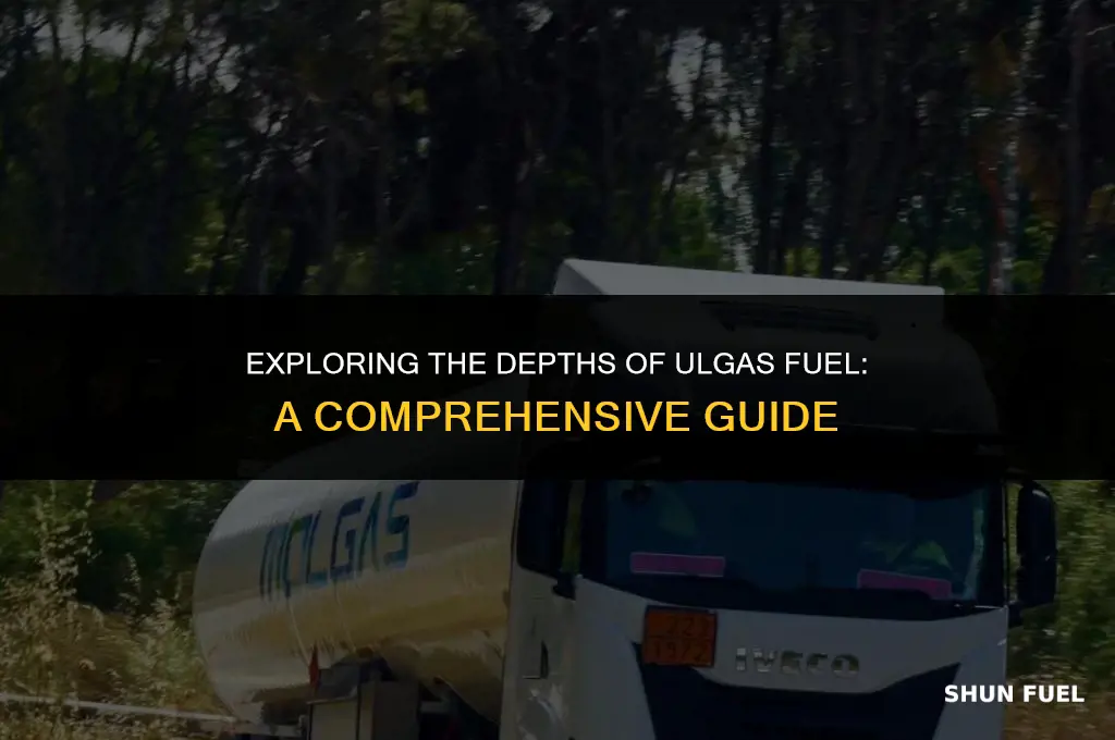 what is ulgas fuel