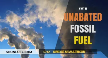 Unabated Fossil Fuels: Understanding Their Impact and Why They Persist