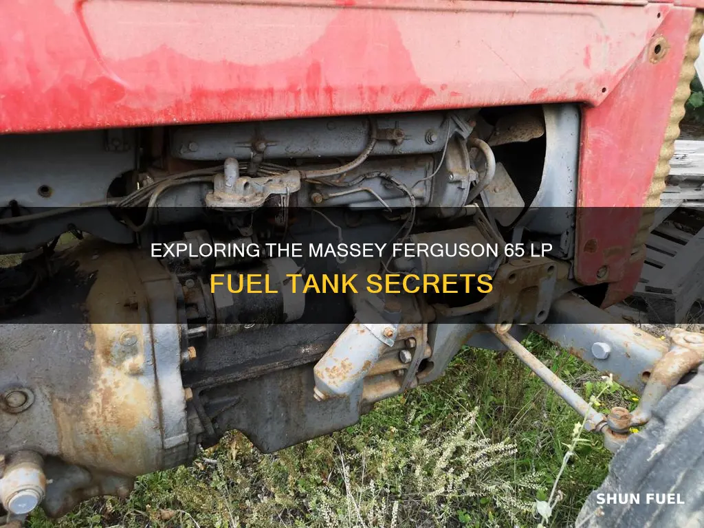 what is under a massey ferguson 65 lp fuel tank