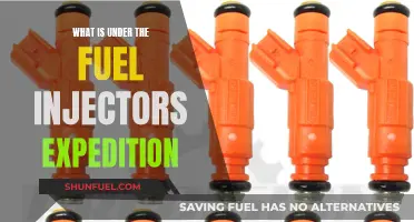 Fuel Injector Maintenance: What's Under the Hood?