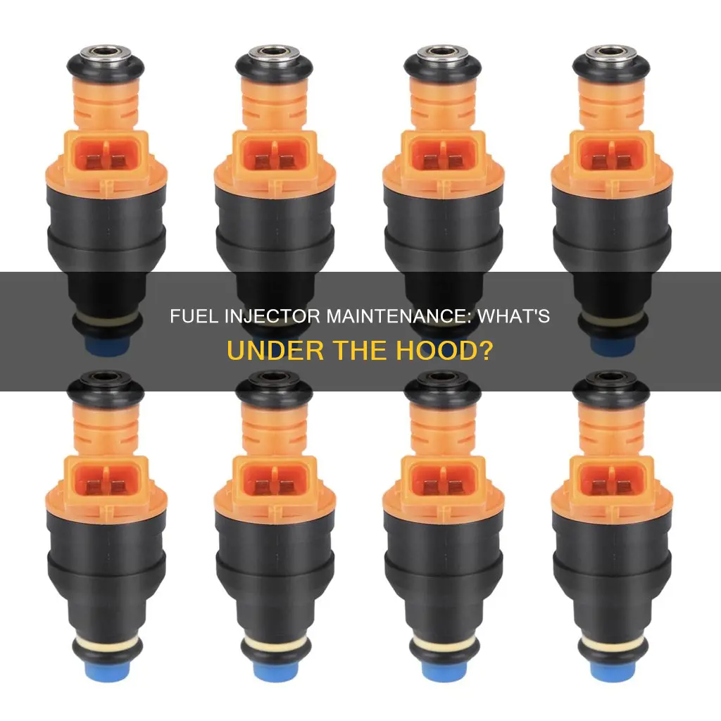 what is under the fuel injectors expedition