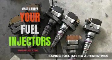 The Intricacies Under Your Fuel Injectors