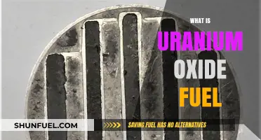 Exploring Uranium Oxide Fuel: The Heart of Nuclear Reactors