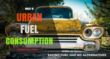 Exploring Urban Fuel Consumption: Trends, Impacts, and Solutions