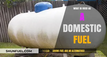 Exploring Common Domestic Fuels: Types, Uses, and Sustainability