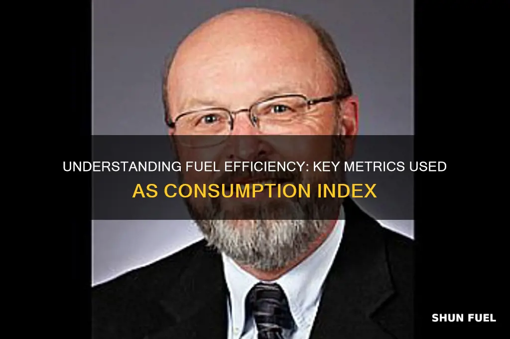 what is used as an index for fuel consumption