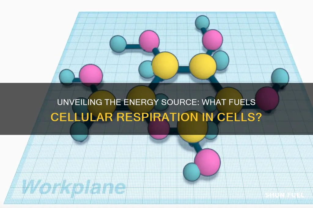 what is used as fuel in cellular respiration