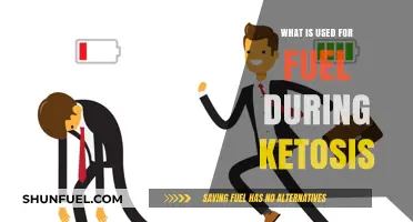 Ketosis Fuel Sources: Understanding Fats, Ketones, and Energy Utilization