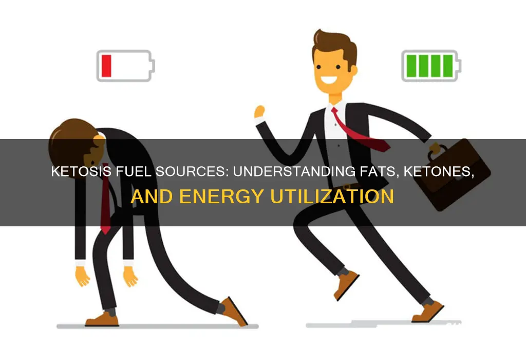 what is used for fuel during ketosis