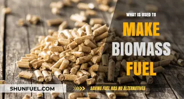 Sustainable Energy Sources: Materials Used to Produce Biomass Fuel