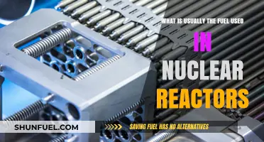 Understanding Nuclear Reactor Fuel: Common Types and Their Uses