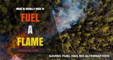 Common Fuels for Fire: What Sustains a Flame's Burning Power?