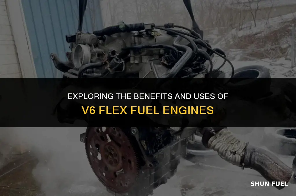 what is v6 flex fuel