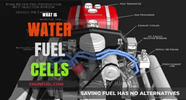 Exploring the Future of Energy: What Are Water Fuel Cells?