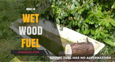 Exploring the Uses and Benefits of Wet Wood Fuel