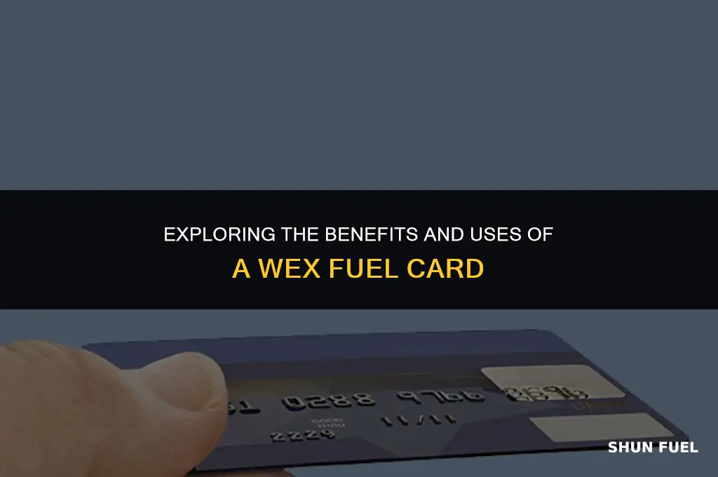 what is wex fuel card