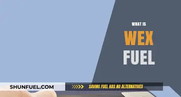Exploring the Future of Energy: What is WEX Fuel?