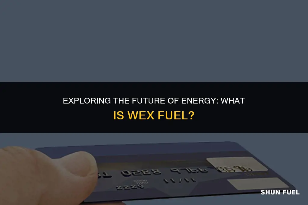 what is wex fuel