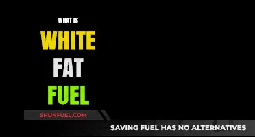 Unlocking the Power of White Fat: Your Body's Hidden Fuel Source