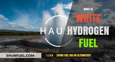Unlocking the Potential of White Hydrogen Fuel: A Sustainable Future