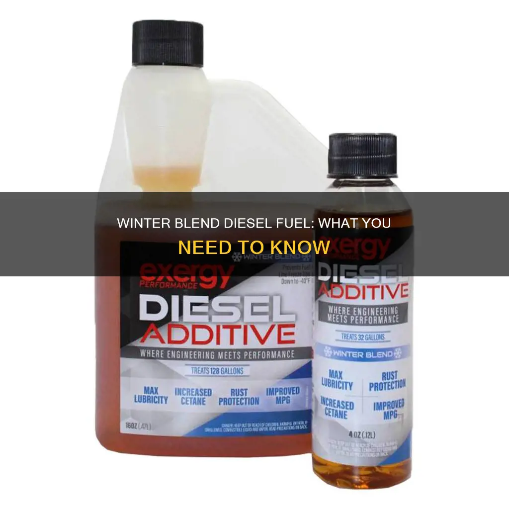 what is winter blend diesel fuel