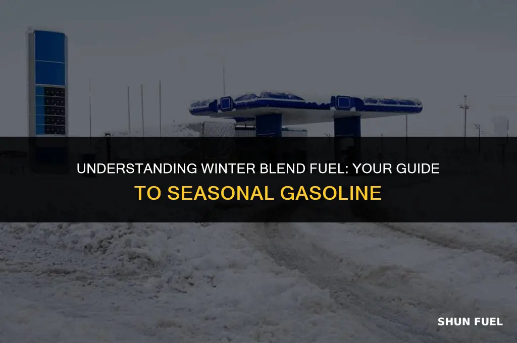 what is winter blend fuel