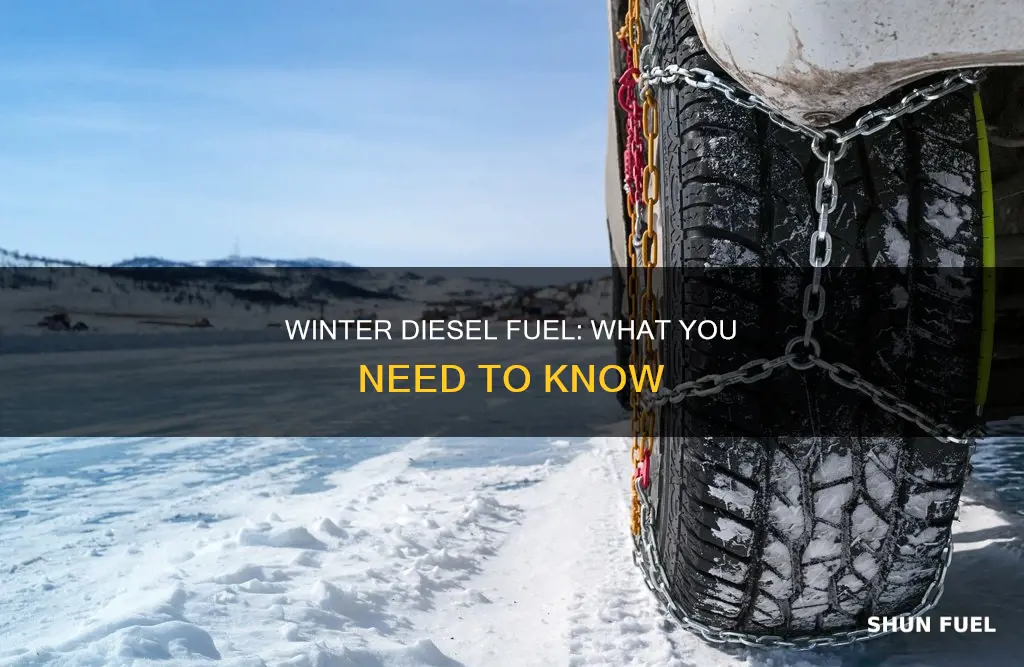 what is winter diesel fuel