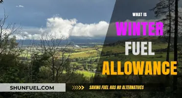 Understanding Winter Fuel Allowance: A Comprehensive Guide