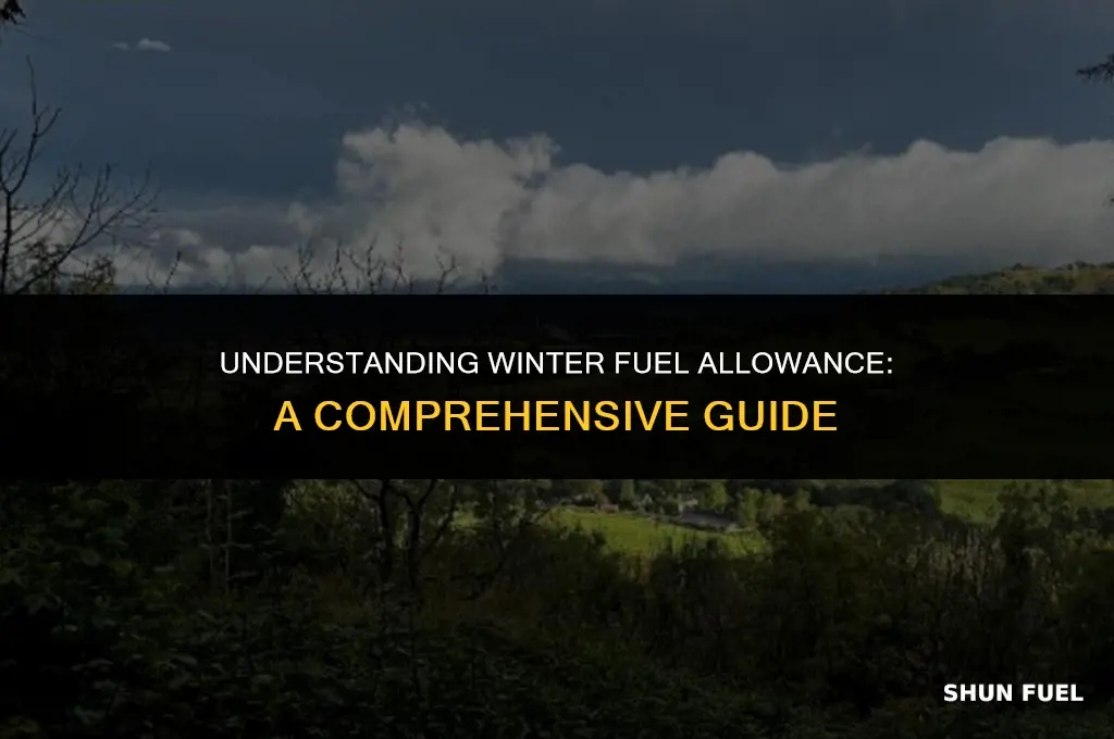 what is winter fuel allowance